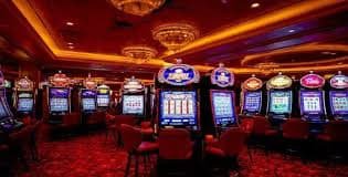 55cc bet