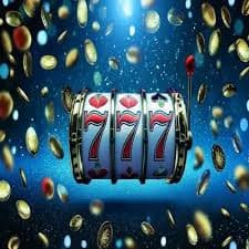 55cc bet